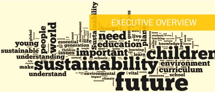 executive_overview_title