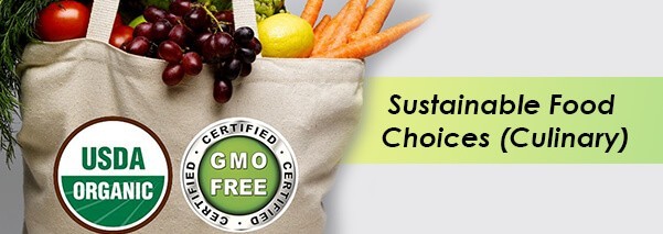 sustainable_food_choices_image