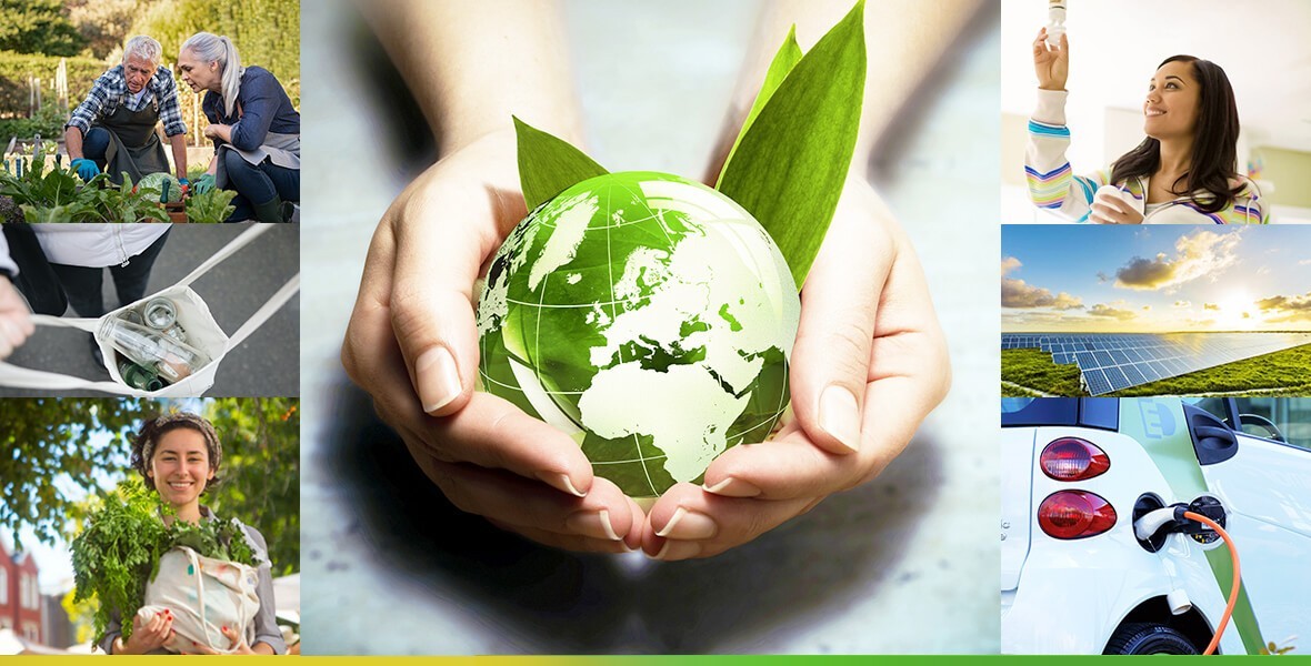 sustainability database green globe in hand