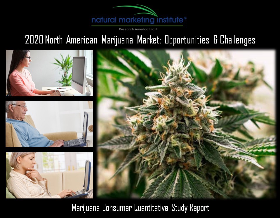marijuana consumer study
