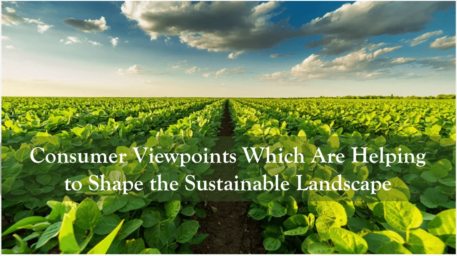 consumer-viewpoints consumer-viewpoints