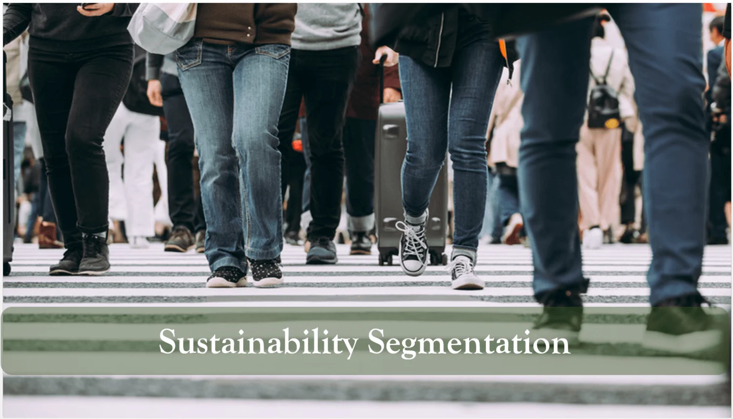 sustainability-segmentation sustainability-segmentation