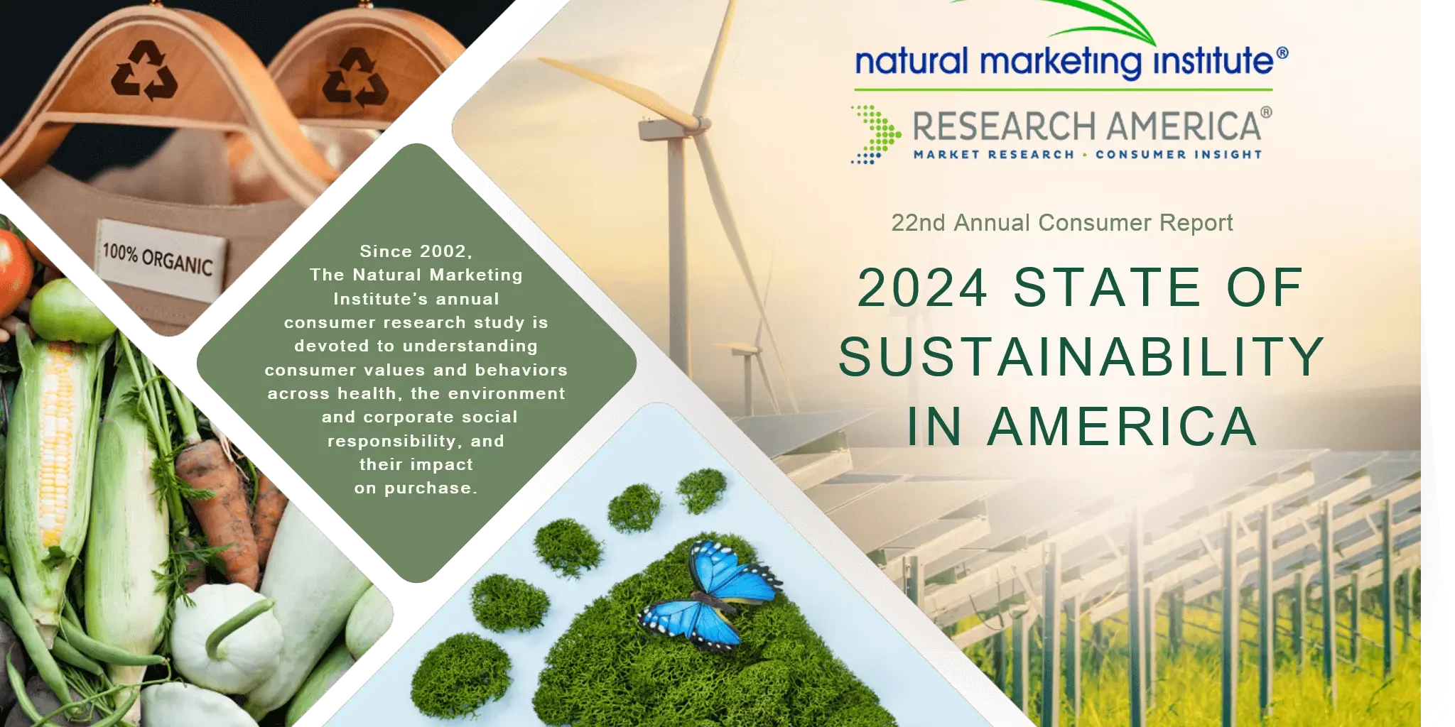 sustainability-market-research-consumer-report-cover